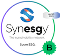 Synesgy